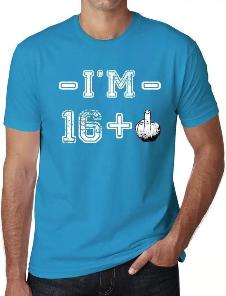 Herren Grafik T-Shirt 17 Jahre ich bin 16 + ein Mittelfinger – 17 Years I'm 16 + A Middle Finger – Geschenk 17. Geburtstag Jahrestag 17 Jahre J...
