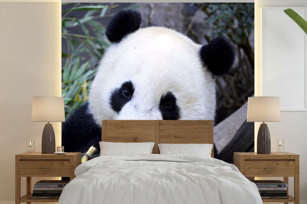 MuchoWow Fototapete für Wohnzimmer oder Schlafzimmer Wandtapete Vinyl Motivtapete Panda - Tier - Blätter - 220x220 cm - Tapeten