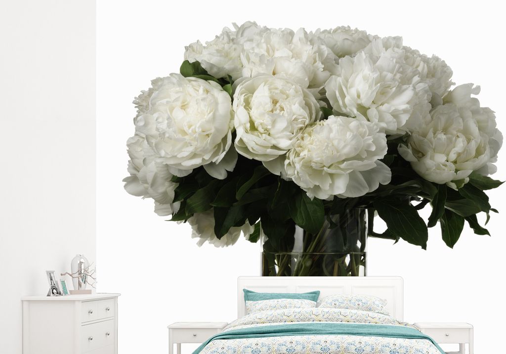 MuchoWow Fototapete für Wohnzimmer oder Schlafzimmer Wandtapete Vinyl Motivtapete Weiße Pfingstrosen in einer Vase - 265x240 cm - Zimmer für K...