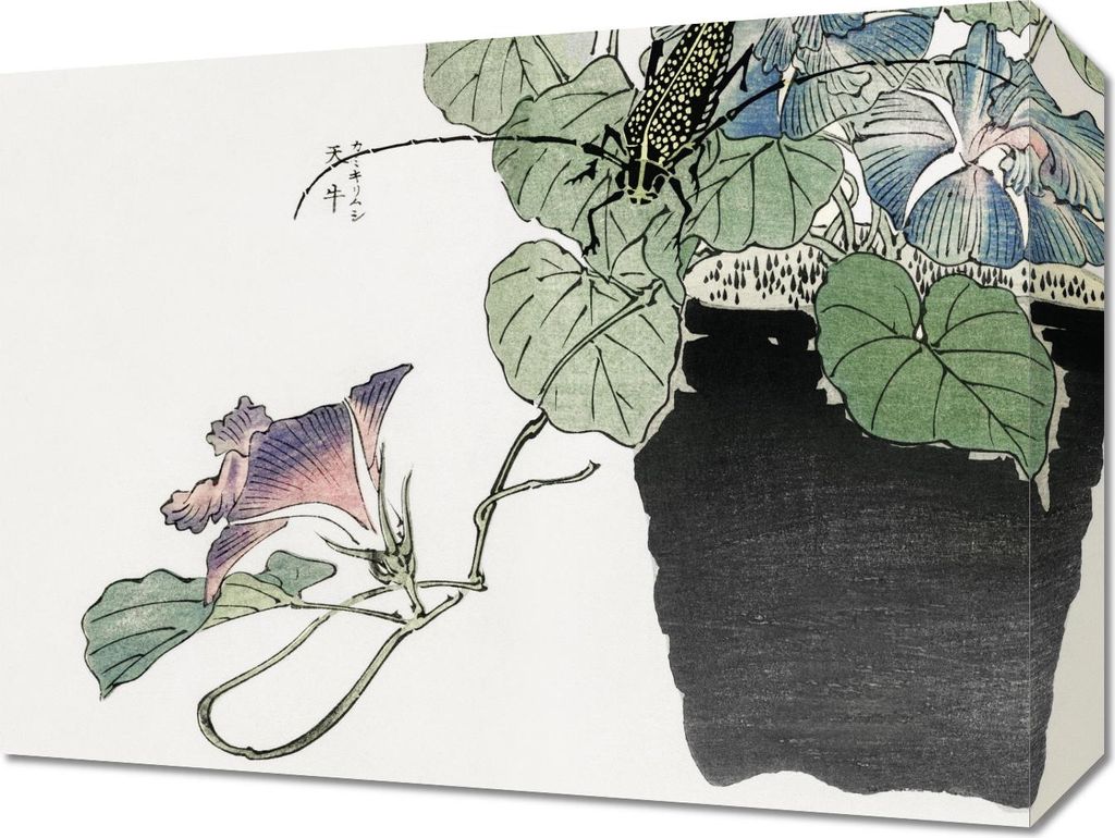Bild 40x30cm Käfer Schneiden Papier Morimoto Toko Japanisch Vintage für Wohnzimmer