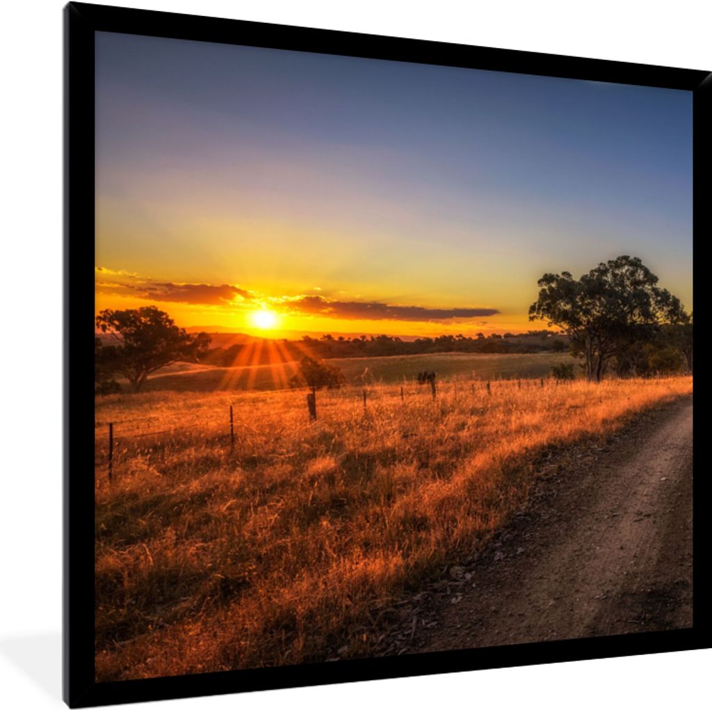MuchoWow Gerahmtes Poster Sonne - Gras - Baum - Natur 40x40 cm - Poster mit Schwarzem Bilderrahmen Wandposter Rahmen Foto Bilder - Mit Rahmen - W...