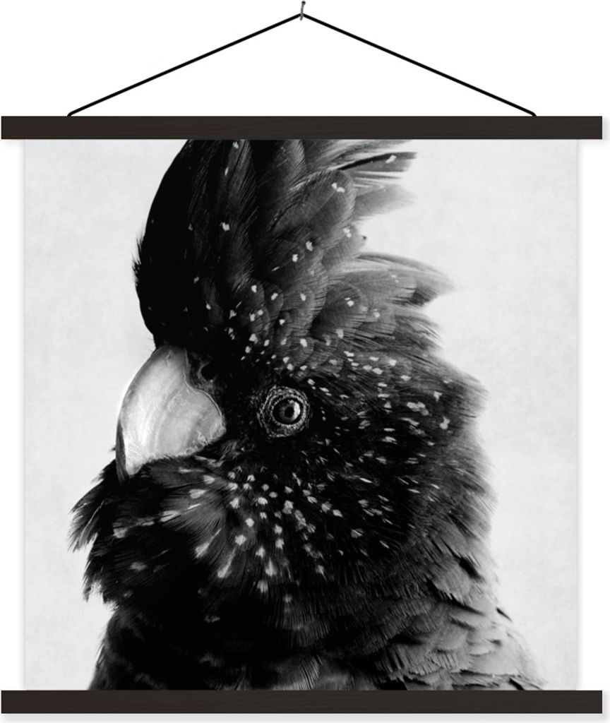 MuchoWow Textilposter Nahaufnahme eines Kakadus vor einem grauen Hintergrund - schwarz und weiß 60x60 cm mit schwarzem Rahmen - Posteraufhänger