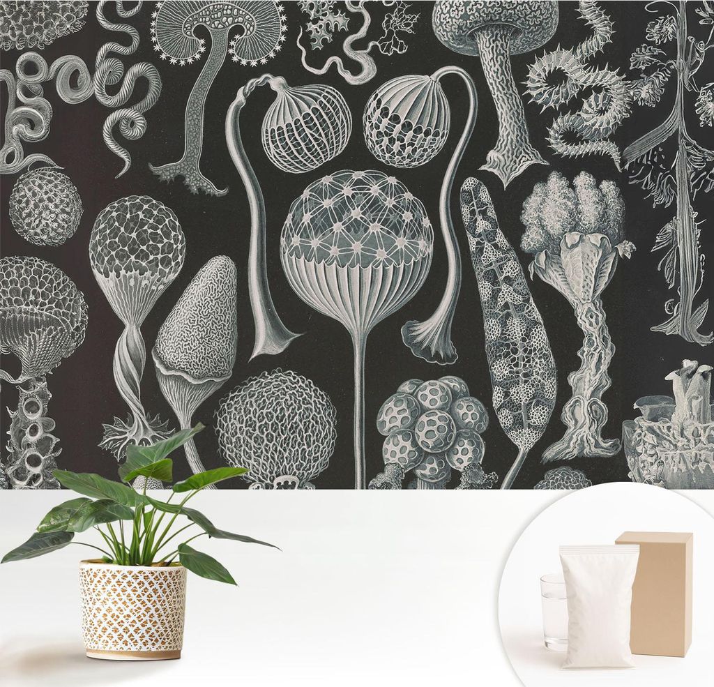 Fototapete - 152x104 cm - Tapete - Wandtapete - Wandbilder - Dekofolie - Tapete Folie - Wand - Dekoration - Wohnzimmer - Magische Pflanzen