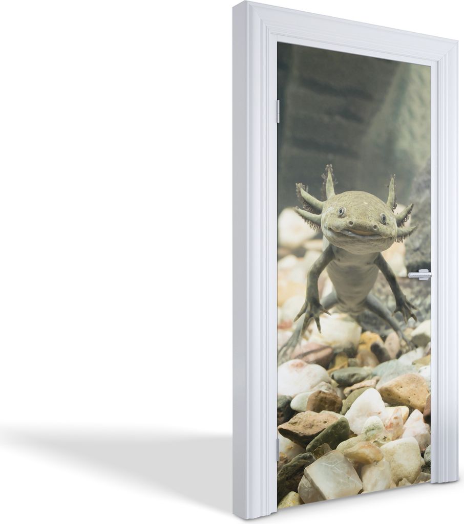 Türdeko Aufkleber Selbstklebende Wandsticker Personalisiert - Lächelnder Axolotl - 95 x 205 cm