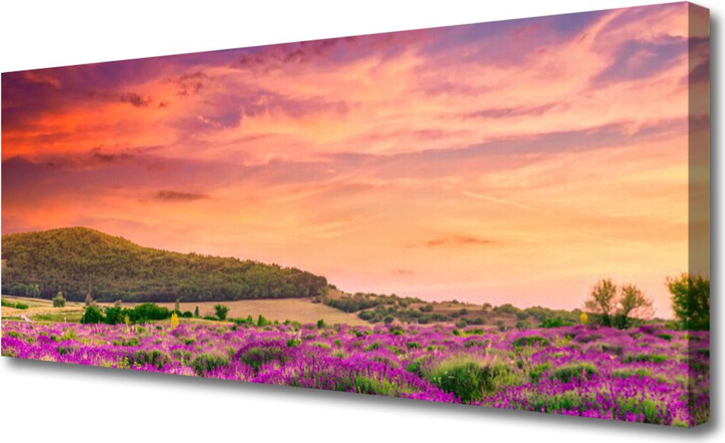 Tulup Leinwand-Bilder 125x50 Wandbild Canvas Kunstdruck Wiese Blumen Landschaft