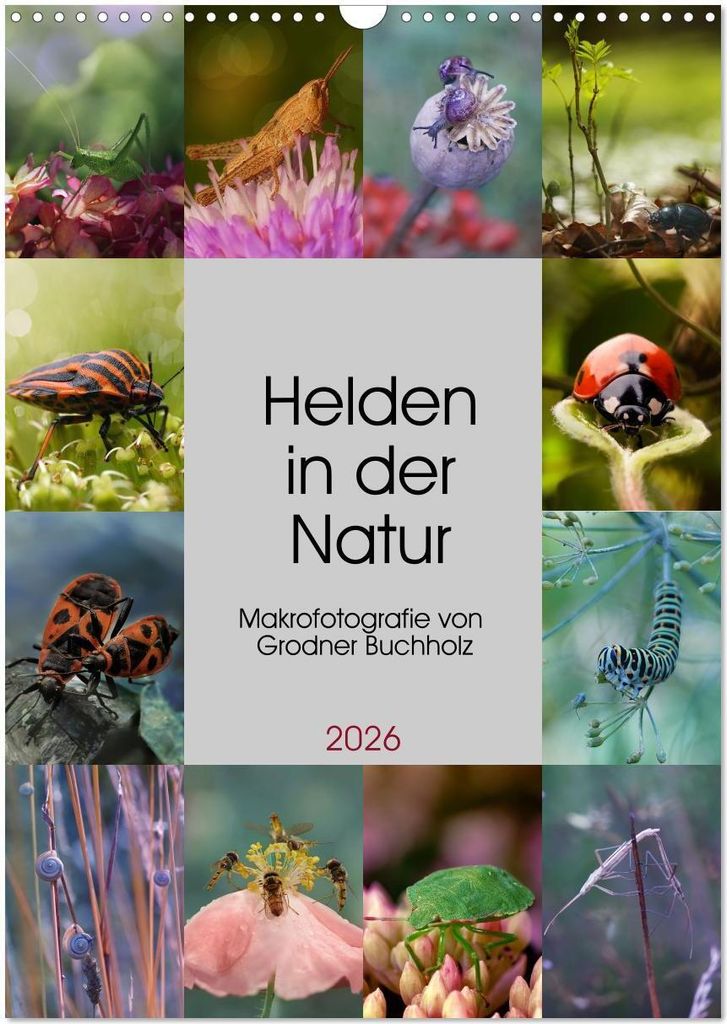 Helden in der Natur (Wandkalender 2026 DIN A3 hoch), CALVENDO Monatskalender