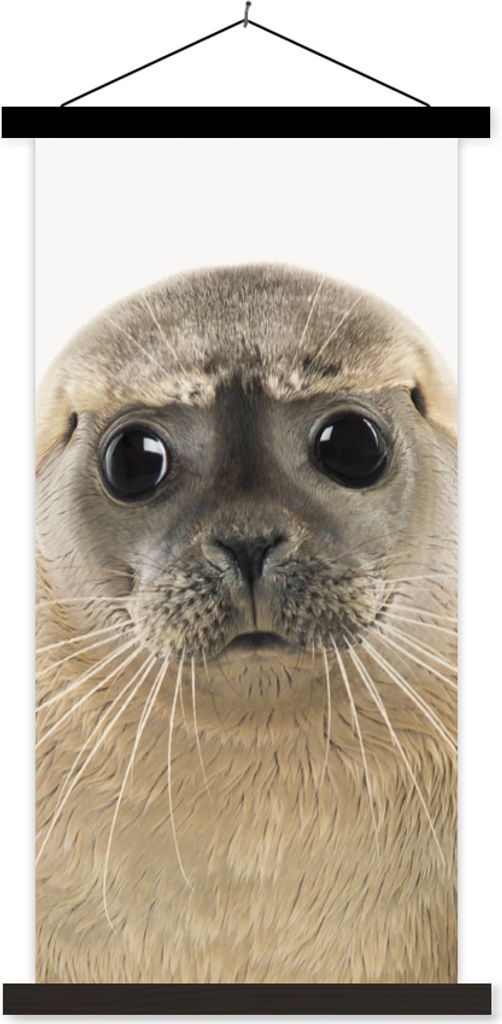 MuchoWow Textilposter Jungen - Robbe - Kinder - Mädchen - Tiere 60x120 cm mit schwarzem Rahmen - Magnete