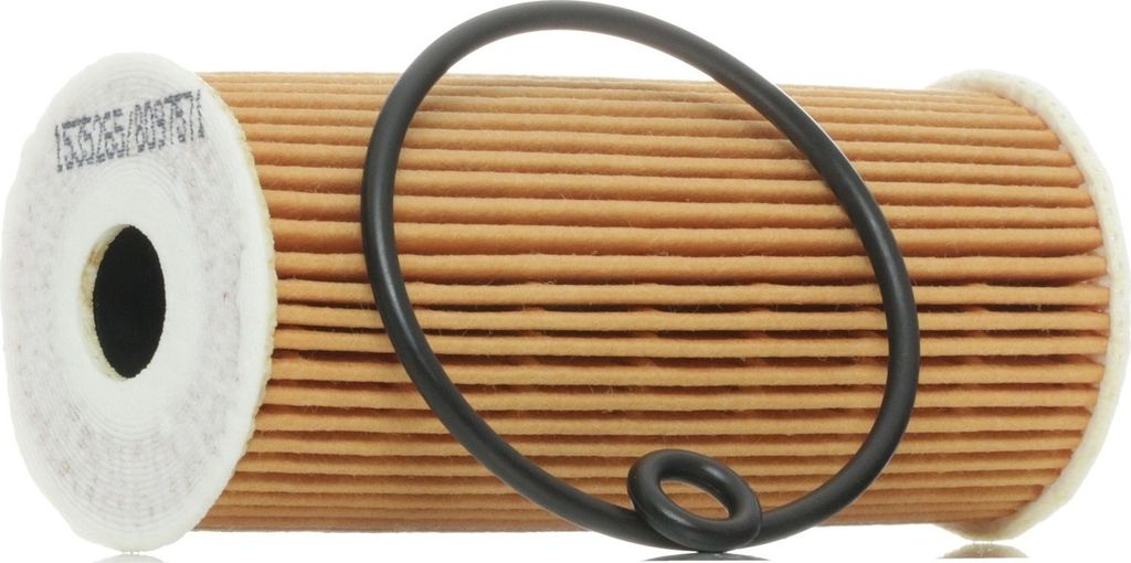 RIDEX 7O0067 - OE 401 800 009 Ölfilter für A-Klasse (W168), A-Klasse (W169), B-Klasse (W245), Vaneo (414)