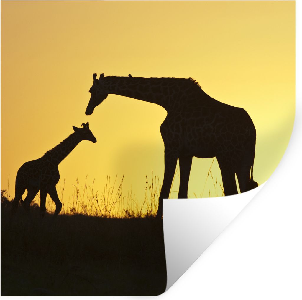 MuchoWow Wandtattoo Wandsticker Wandaufkleber Giraffe - Scherenschnitt - Kalb 100x100 cm Selbstklebend und Repositionierbar - Wierderverwendbar -...
