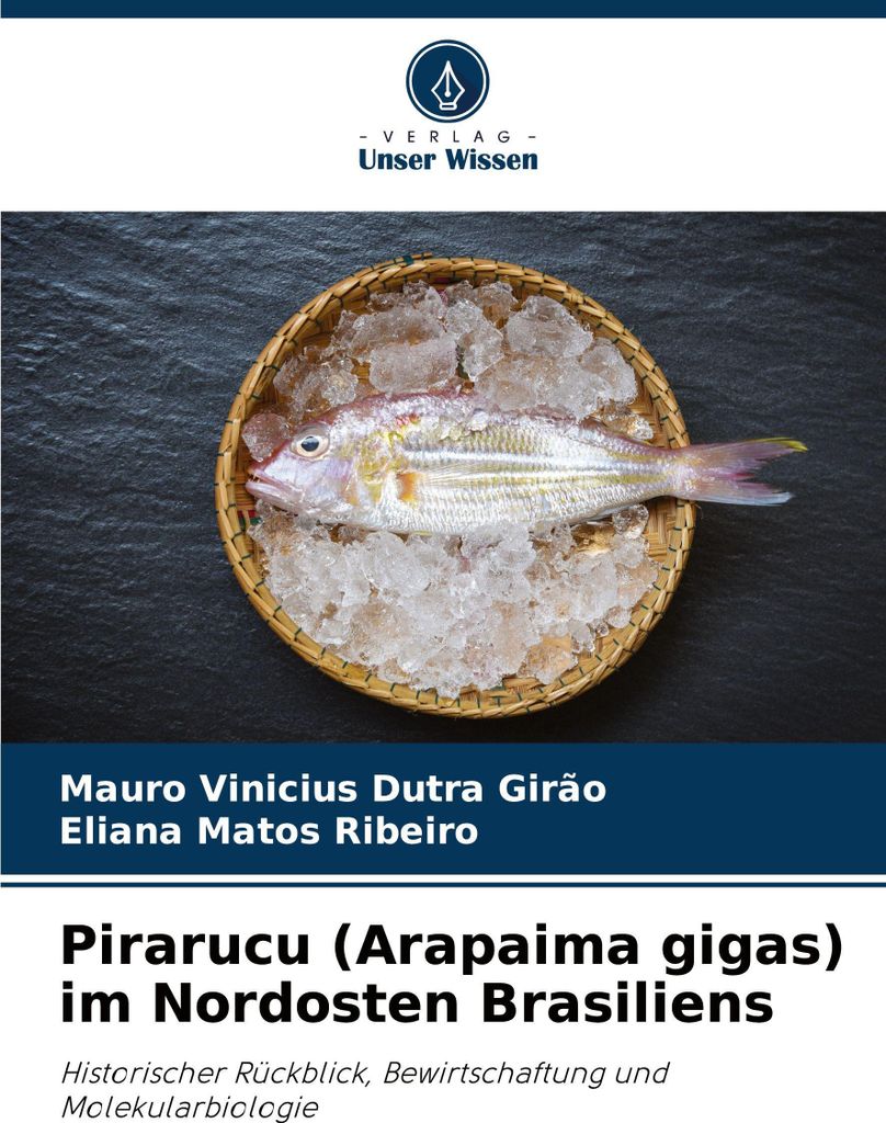 Pirarucu (Arapaima gigas) im Nordosten Brasiliens