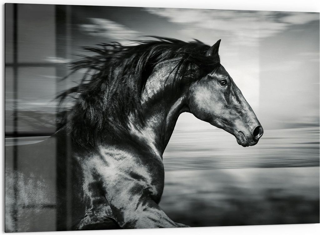 DEQORI Küchenrückwand Glas 60x40 cm 'Galoppierendes Pferd' Spritzschutz Bad Rückwand