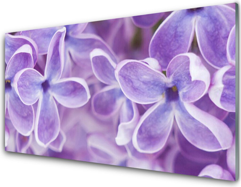Acrylglasbilder 100x50 Wandbild Druck Blumen Pflanzen