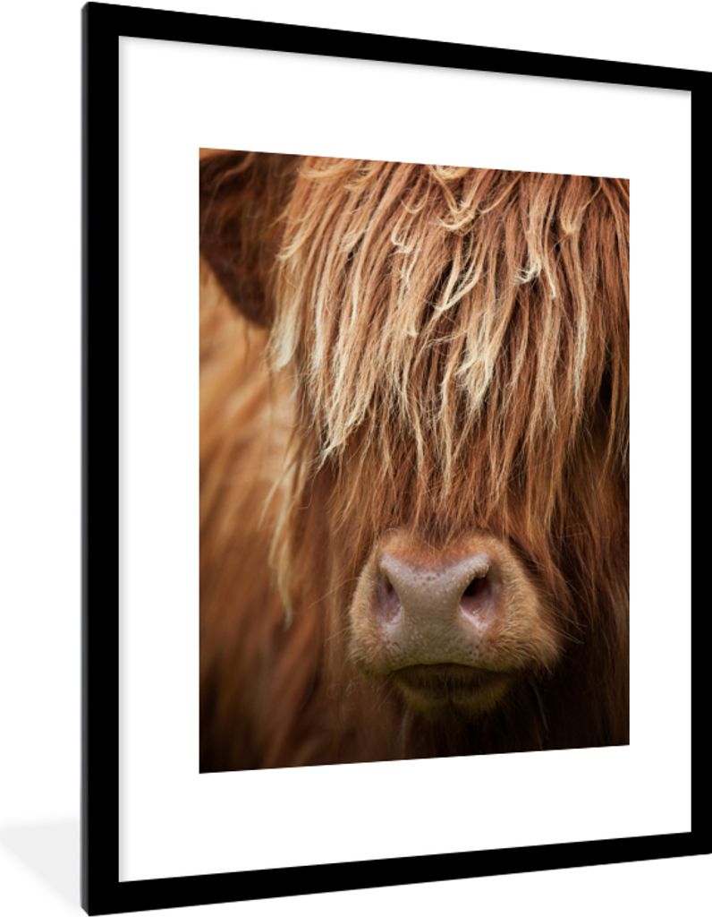 MuchoWow MuchoWow Gerahmtes Poster Schottisches Hochlandrind - Nase - Haare 60x80 cm - Poster mit zchwarzem Bilderrahmen - Wohnzimmer - Dekorat...
