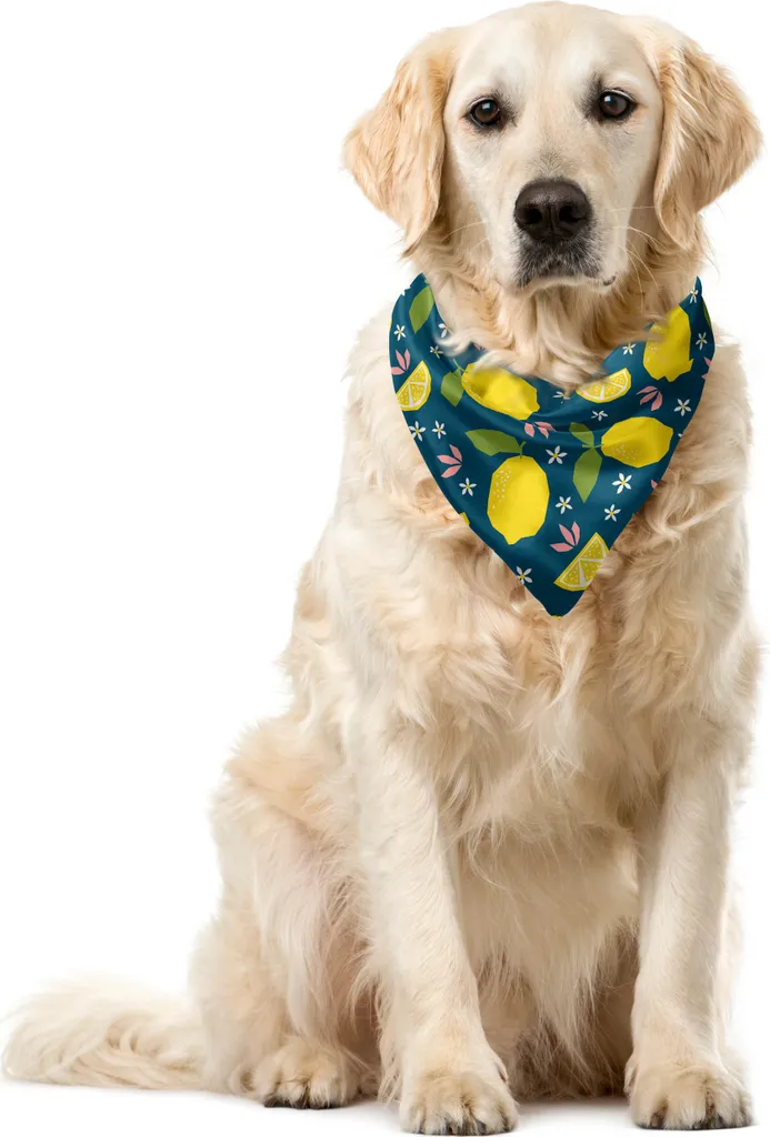 ABAKUHAUS Bandana per animali domestici con motivi floreali e limoni pop, 55x55 cm, petrolio, blu, giallo