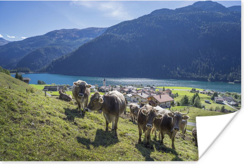 MuchoWow Poster Kühe - Wasser - Alpen 90x60 cm - Schlafzimmer