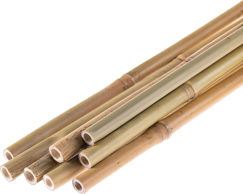 Bambusstäbe für Pflanzen - Pflanzenstützen - 105 cm - Ø 12/14 mm - 15 Stück - Natur