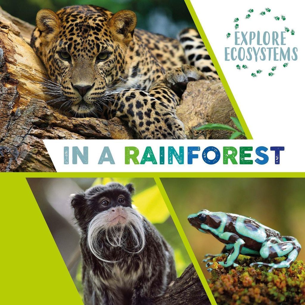 Ridley, S: Explore Ecosystems: In a Rainforest