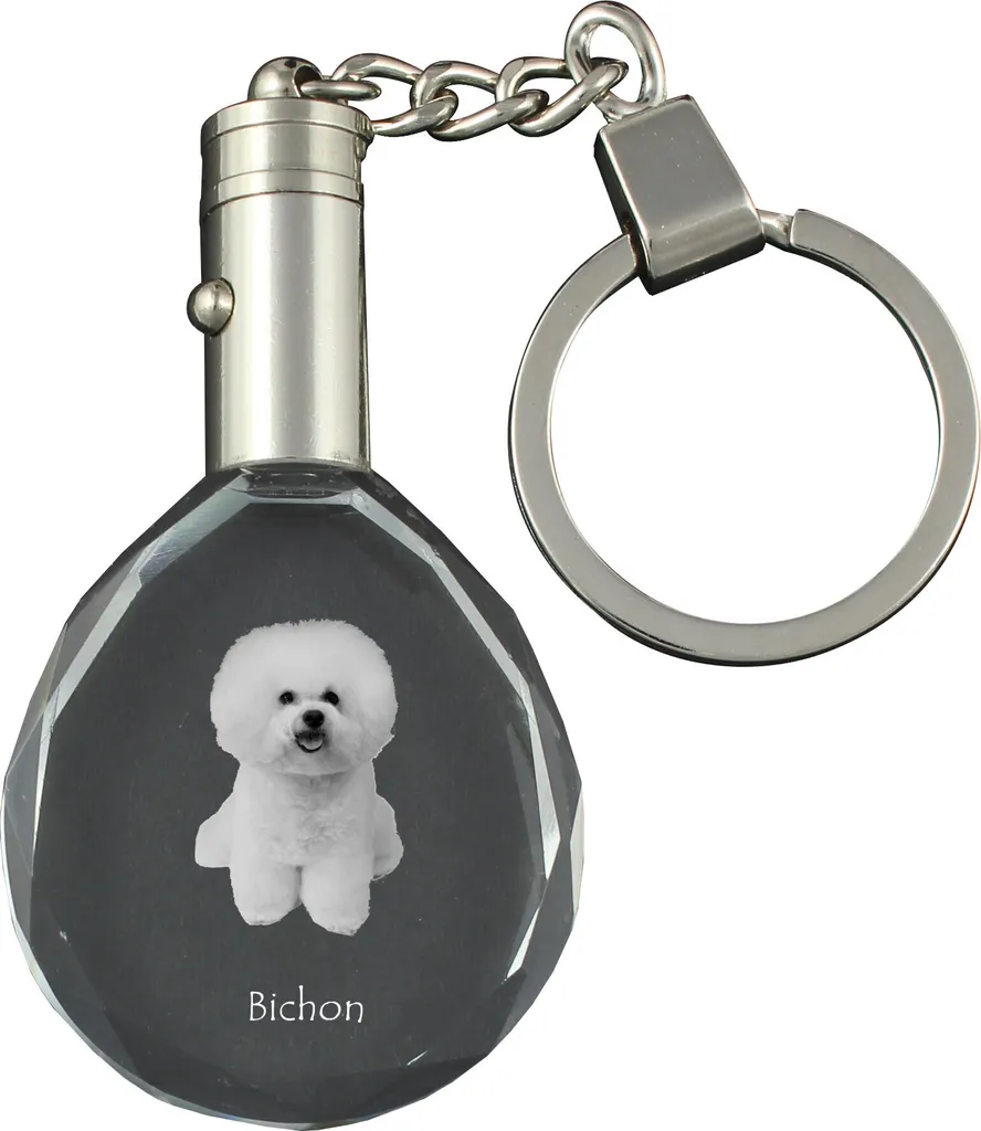 Bichon frisé - ciondolo con foto del cane, ciondolo in cristallo per chiavi in confezione regalo, un regalo unico da Art-Dog