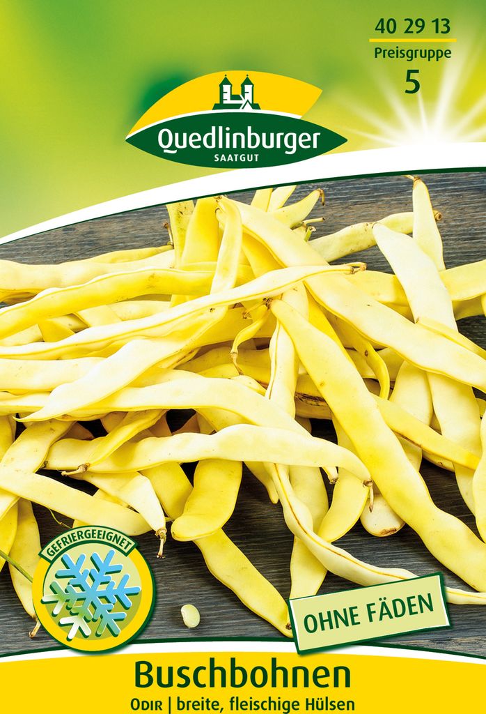 Buschbohne Odir | Buschbohnensamen von Quedlinburger