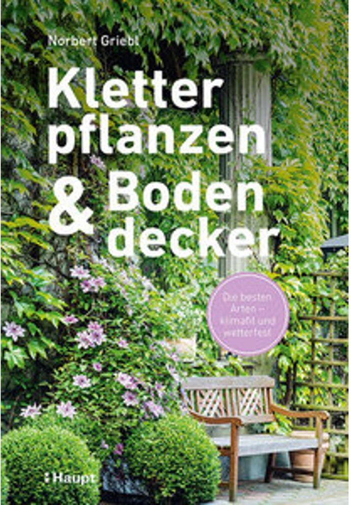 Kletterpflanzen und Bodendecker