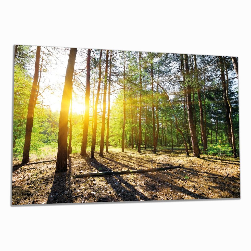 Wallario Herdabdeckplatte aus Glas, Größe 80 x 52 cm 1-teilig, Motiv Sonnenstrahlen tief hinter dem Wald