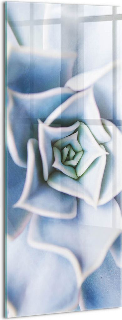 Designer Glasbild - Wandbild - Glas Bild - 50x125 cm - Blumenpflanze