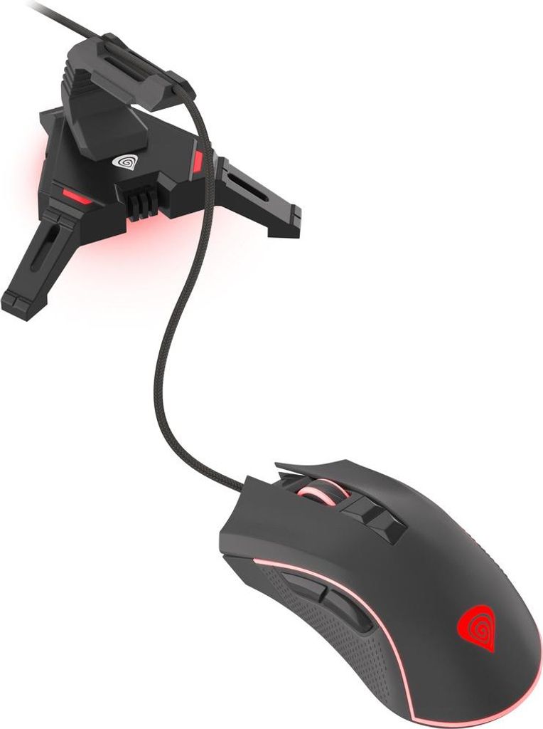 2W1 Genesis Bungee Vanad 300 Nbu-1441 Zdjęcie produktu 