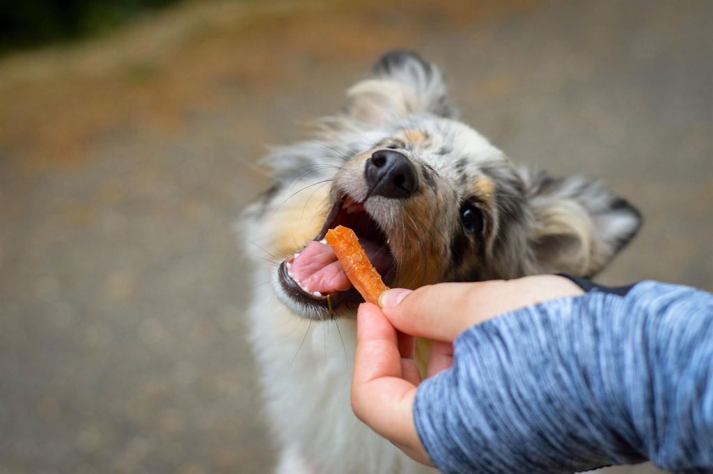 Akinu Strisce di pollo per cani 300g Immagine del prodotto 