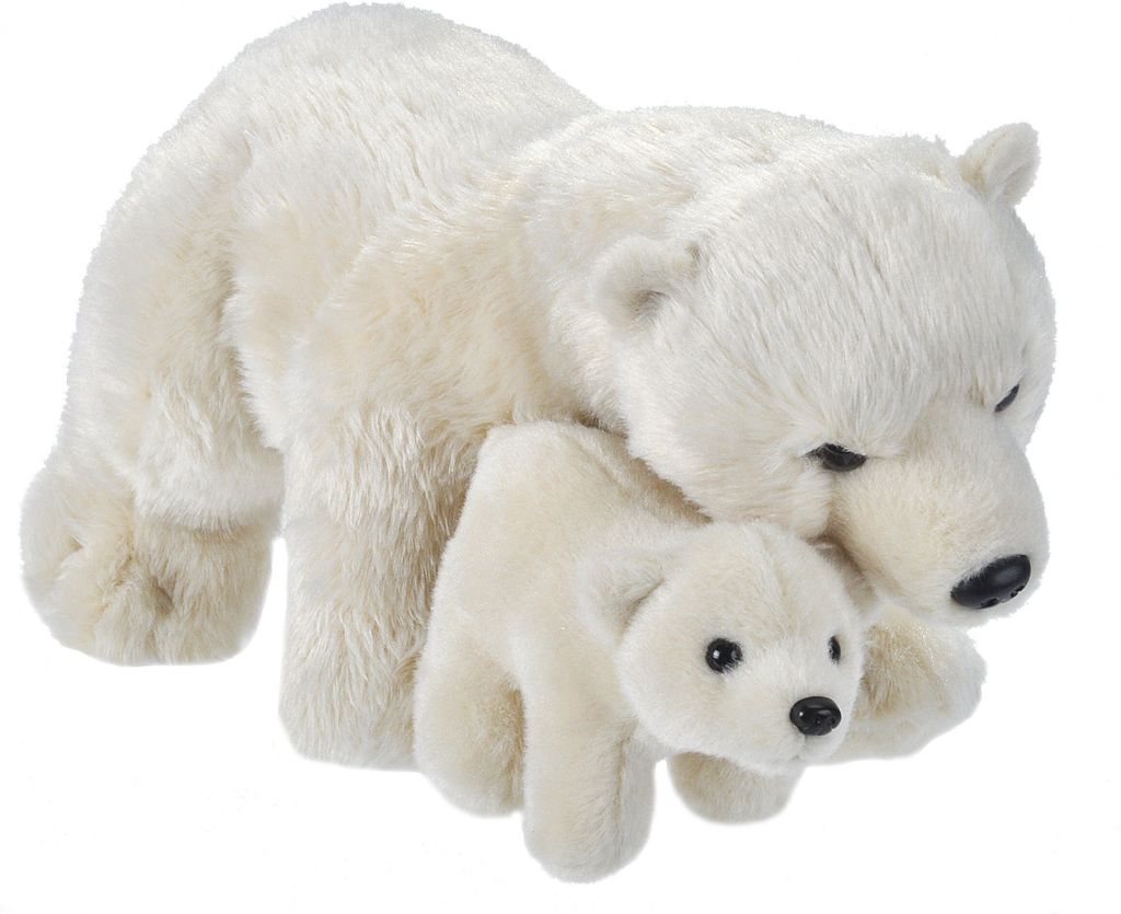 A mother polar bear and her cub are shown together.