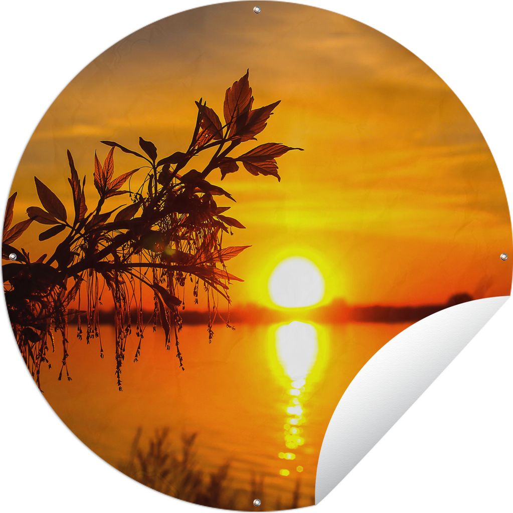 MuchoWow Gartenposter Outdoor-Poster Rund Sonnenuntergang - Wasser - Pflanzen - Orange Ø 120 cm Gartendeko Rundes Poster draußen