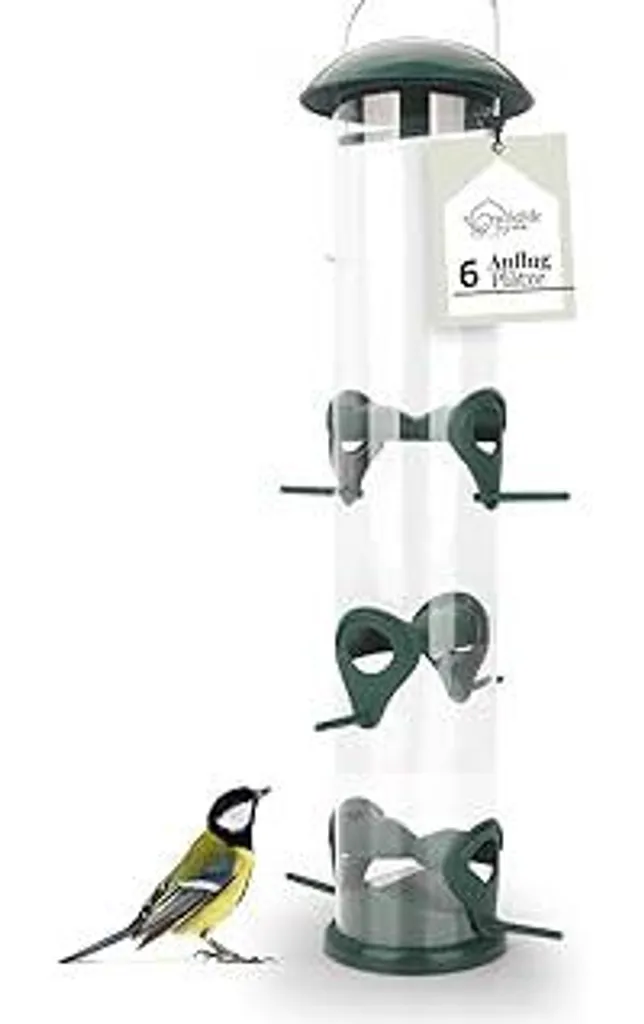 Mangiatoia per Uccelli 40cm con 6 Punti di Approdo - Acquista Online