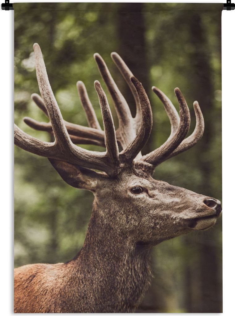 MuchoWow Wandteppich Wandbehang Hirsch - Natur - Geweih - Wald - Tiere 60x90 cm Tapisserie Dekoration Wandtuch - Foto-Teppich - Abwaschbar