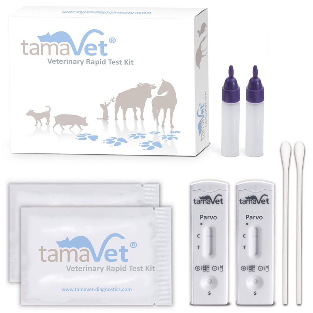 A veterinary rapid test kit for parvovirus, including test cassettes, vials, and swabs, presented with its packaging.