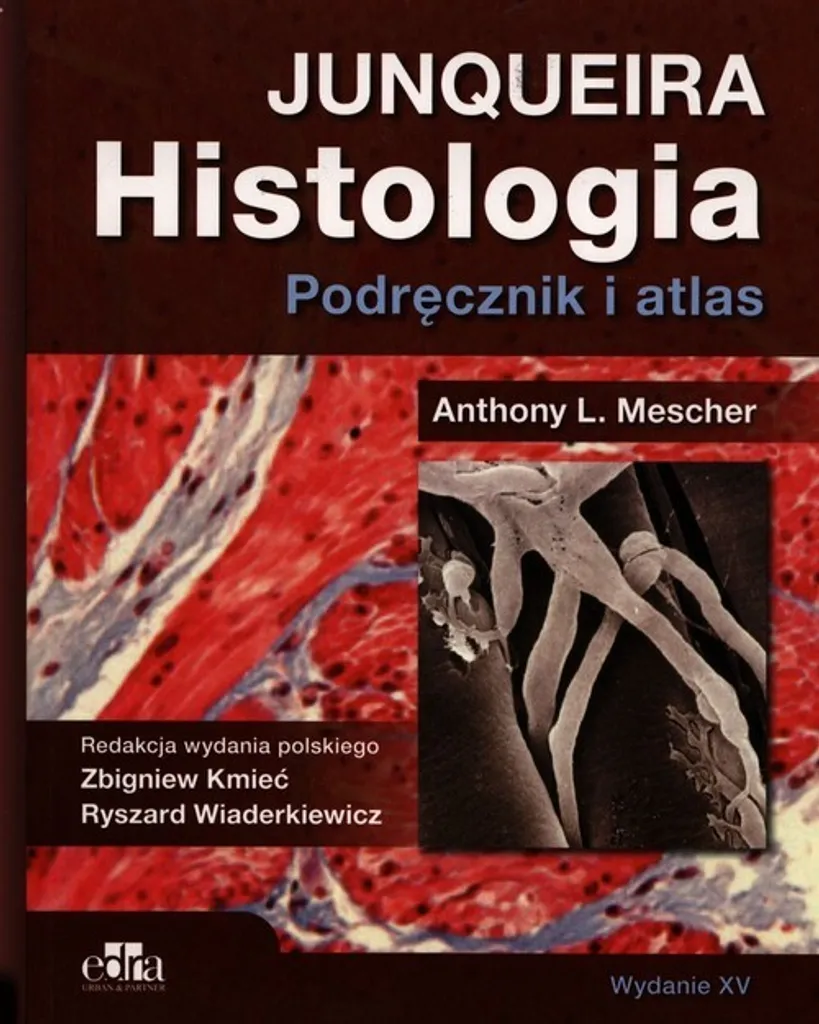 Manuel d'histologie de Junqueira : identifiez les tissus sans doute