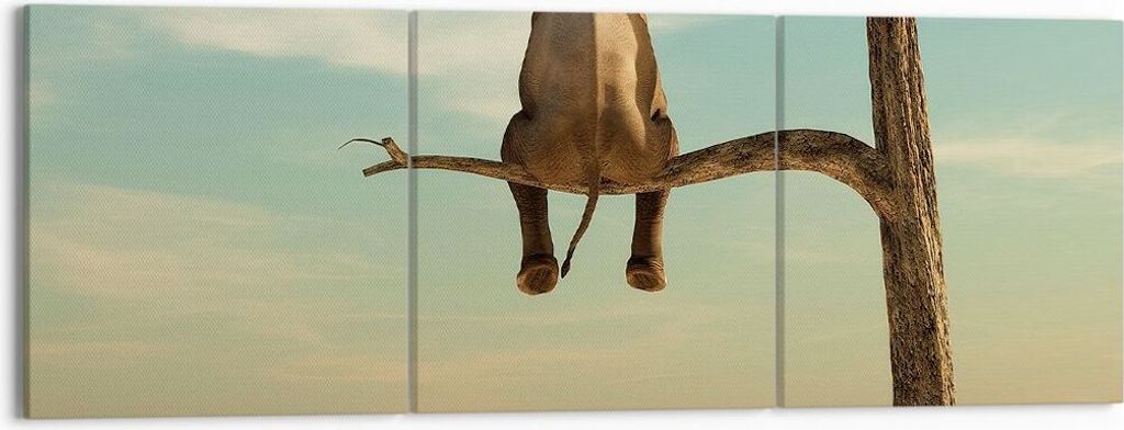 Bild auf Leinwand - Leinwandbild - 3 Teile - Elefant sitzend Ast - 150x50cm - Wand Bild - Wanddeko - Wandbilder - Leinwanddruck - Bilder - Wanddeko...