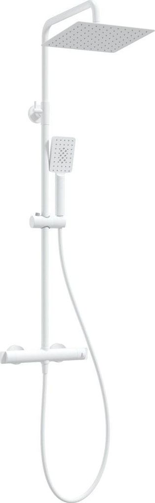 Showerhead w/ thermostatic shower mixer