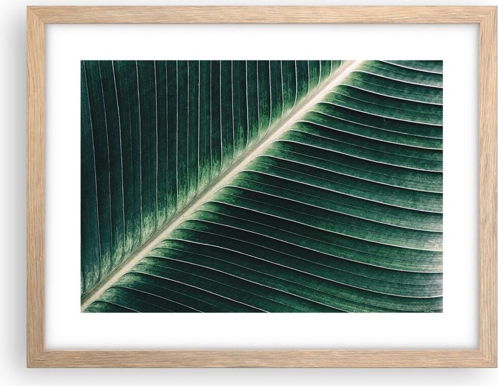 Gerahmtes Poster - Rahmen in heller Eiche - Grün Blatt Tropisch - 40x30 cm - Wand Bild - Wanddeko - Wandbilder - Wandposter - Bilderrahmen - Bilde...