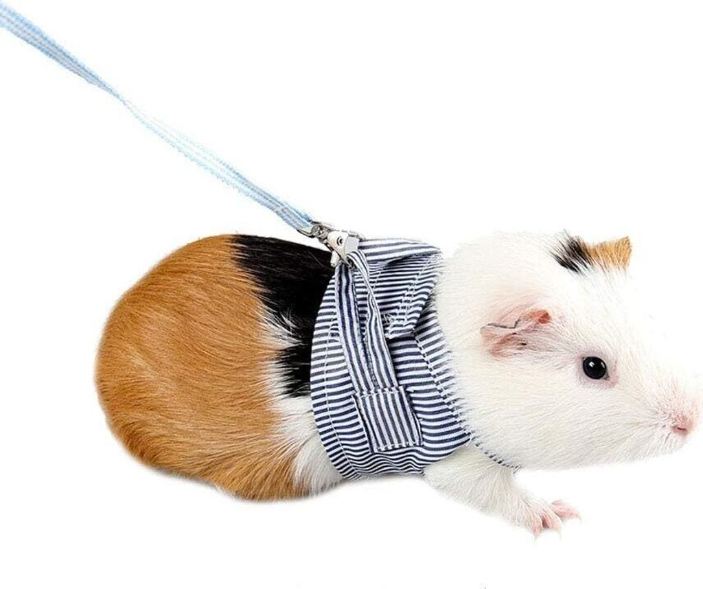 Geschirr und Leine für Kleintiere Verstellbare Laufleine für Haustiere Komfort gepolsterte Weste Trainingsleine für Ratten Leguan Hamster Frettchen