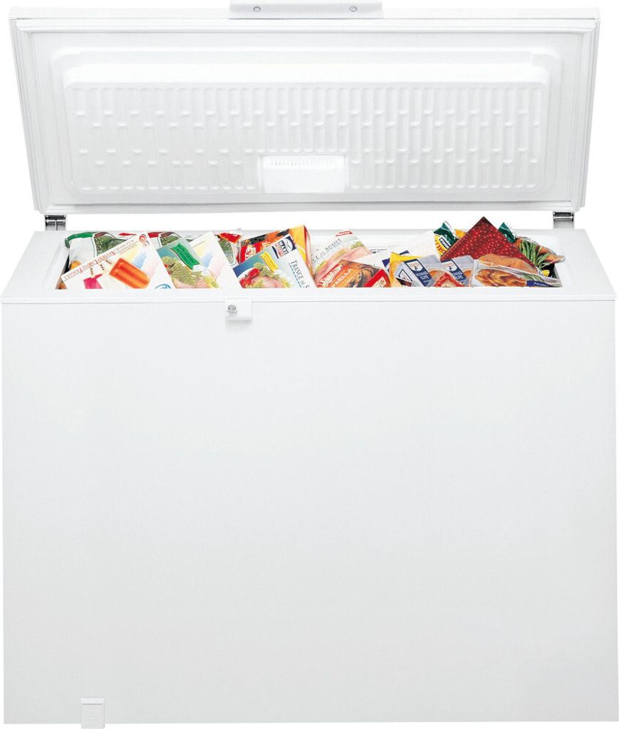 Bauknecht GTE ECO 222 C EX, 219 l, 16 kg/24h, 42 dB, 4*, C, Produktbild 