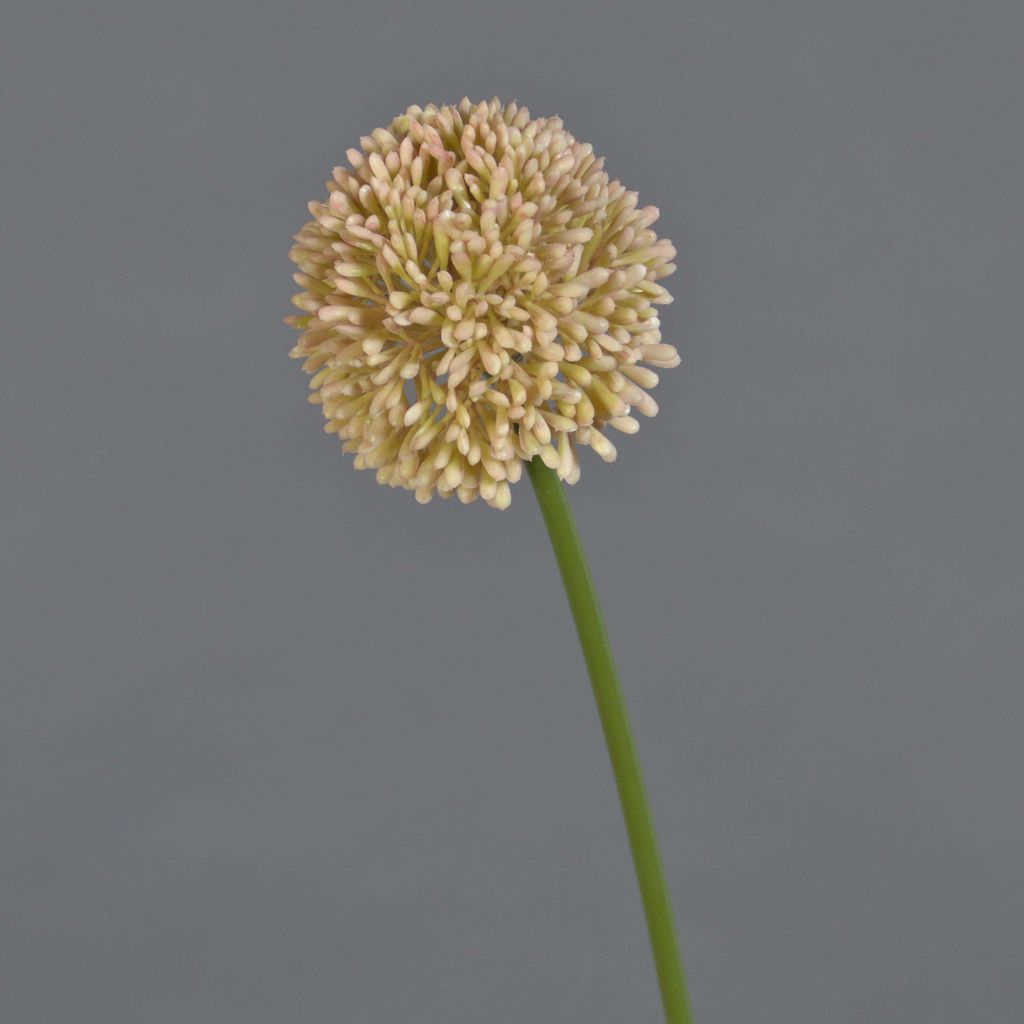 artplants.de Künstliche Blume Allium BAILIN, rosa-Creme, 40 cm - Künstlicher Blumenzweig