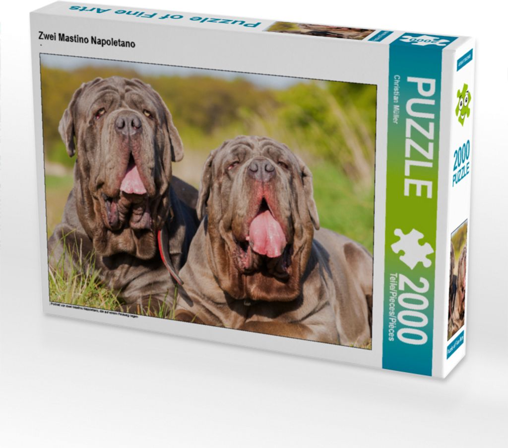 CALVENDO Puzzle Zwei Mastino Napoletano 2000 Teile Puzzle Produktbild 