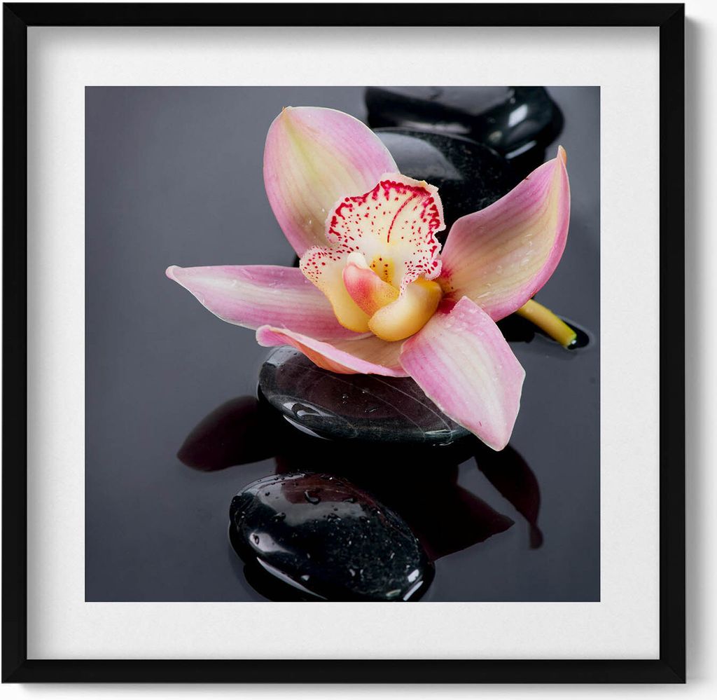 Blumen auf den Steinen im Wasser– Wandbild mit Rahmen – Gerahmtes Bild – Wanddekoration – 50x50 cm – Schwarz Rahmen