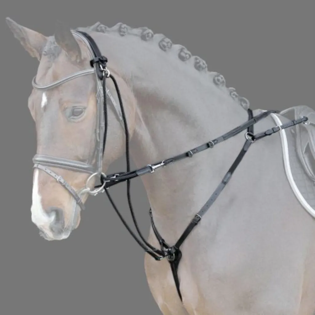 Rênes auxiliaires SP Cleveland Pro : stabiliser le contact du cheval