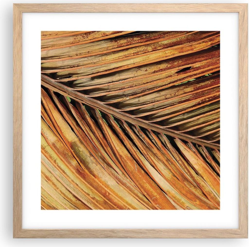 Gerahmtes Poster - Rahmen in heller Eiche - Orange Blatt Tropisch - 40x40 cm - Wand Bild - Wanddeko - Wandbilder - Kunstposter - Wandposter - Bilde...