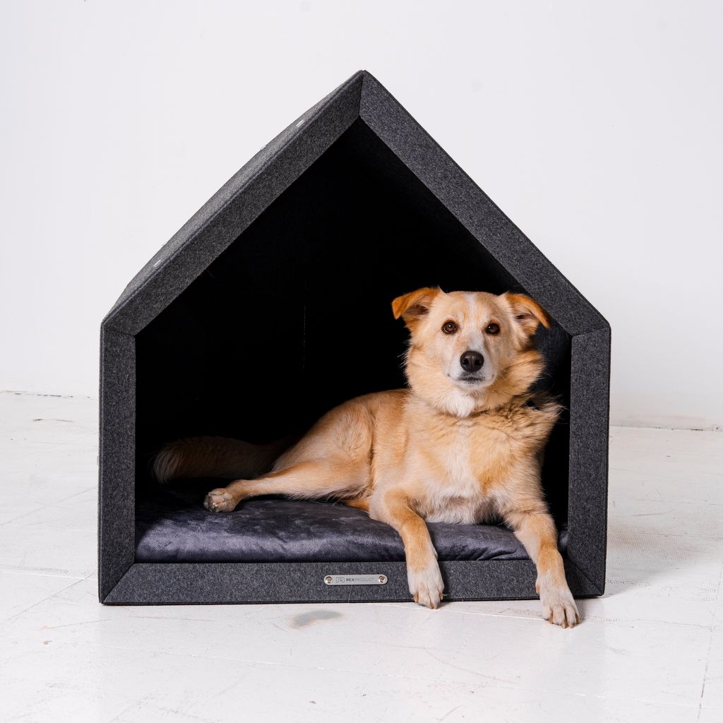 PetHome 2.0 Orthopädische Hundehütte mit Memory-Schaum-Liegefläche und Dach – Biss- und Kratzfest, Größe M, hellgrau und dunkelgrau
