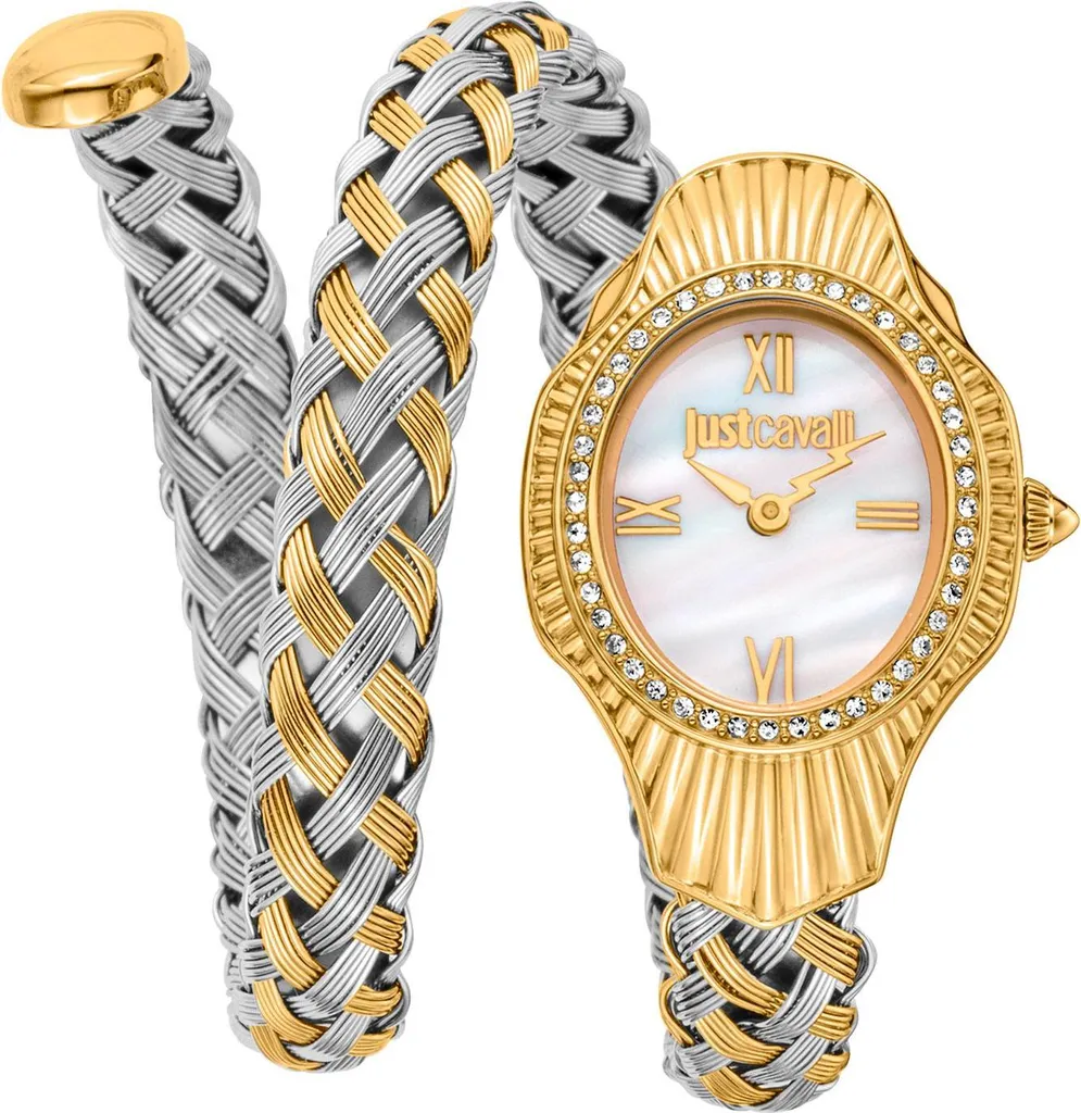 Montre Femme Dorée Just Cavalli JC1L305M0055 avec Bracelet Mailles Chic