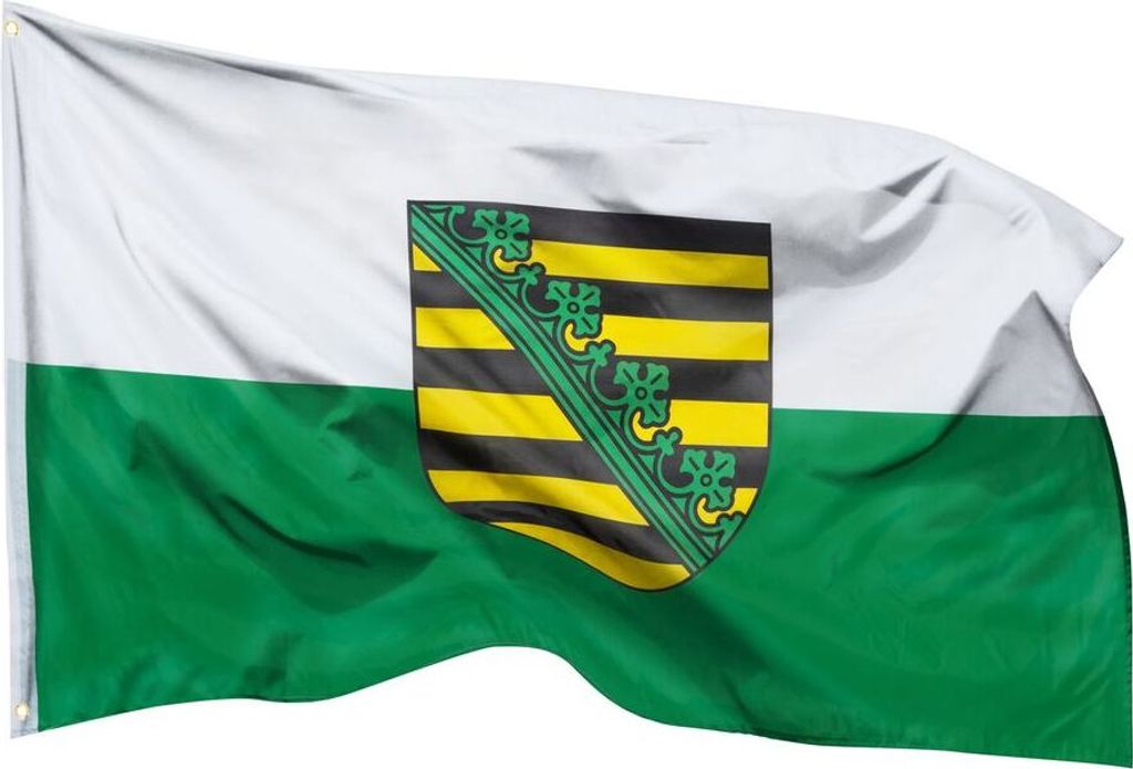 PHENO FLAGS Sachsen Flagge 90 x 150 cm Fahne Bundesländer Produktbild 
