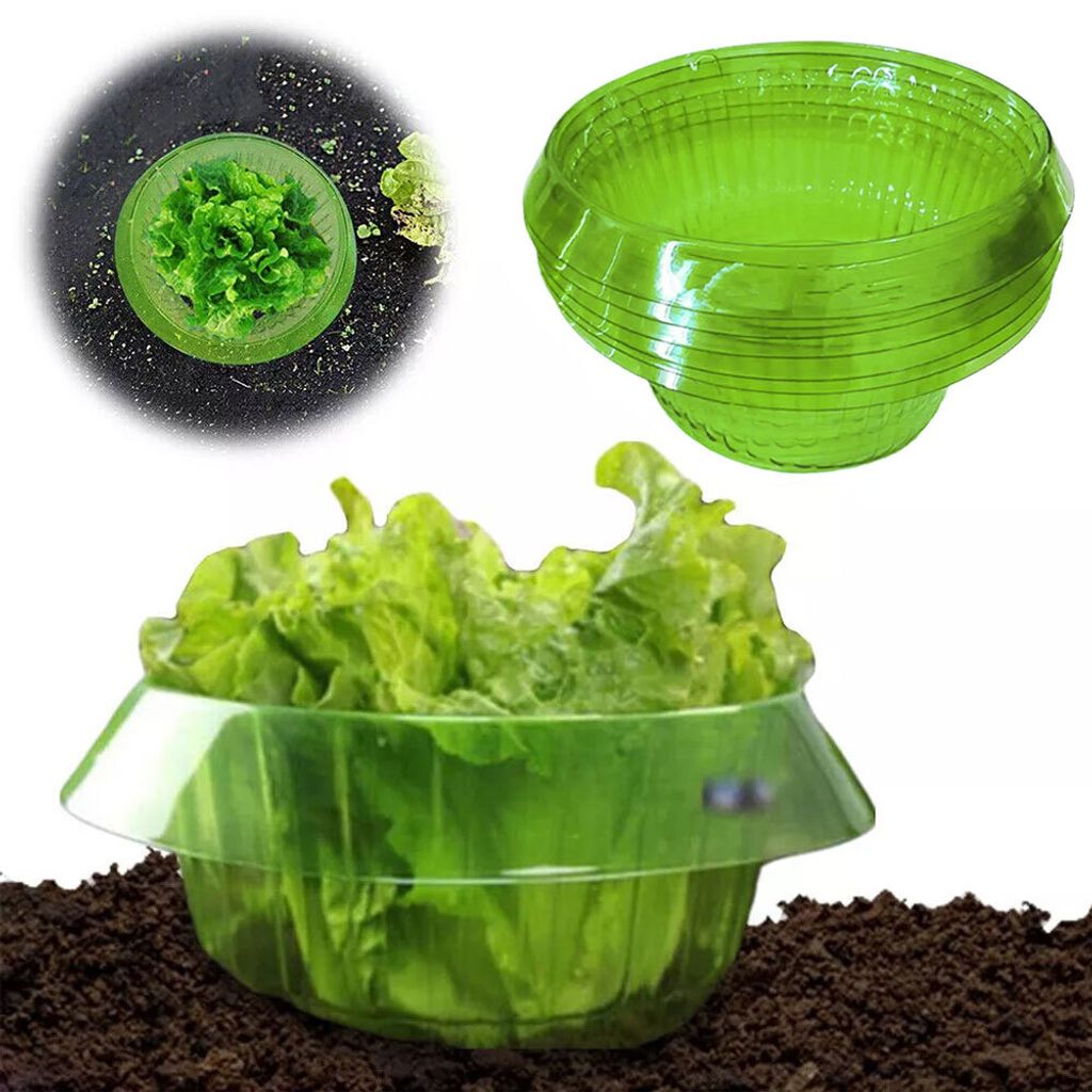 10er Pack Salatringe, Effektiver Schneckenschutz für Ihre Salatpflanzen und Kohl, Schneckenabwehr ohne Chemie 23*11.5cm