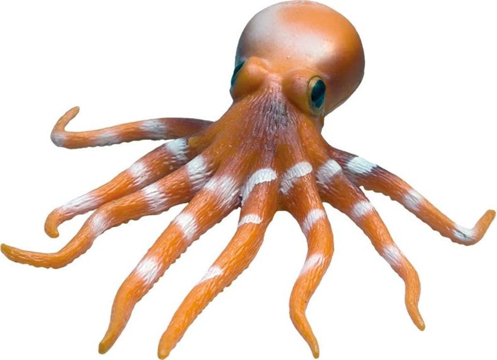 Rep Pals, Octopus