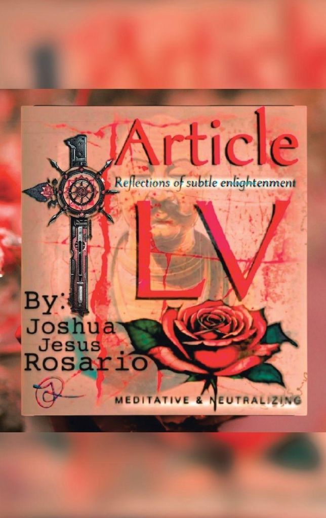Artikel LV